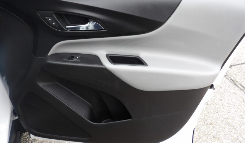 
								2019 Chevrolet Equinox LS SUV full									