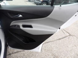 
										2019 Chevrolet Equinox LS SUV full									