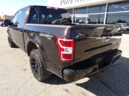 
										2018 Ford F-150 XLT Crew Cab full									