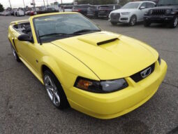 2001 Ford Mustang GT Convertible