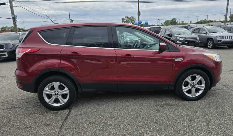 
2014 Ford Escape SE full									