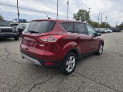 
2014 Ford Escape SE full									