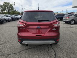 
2014 Ford Escape SE full									