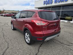 
2014 Ford Escape SE full									