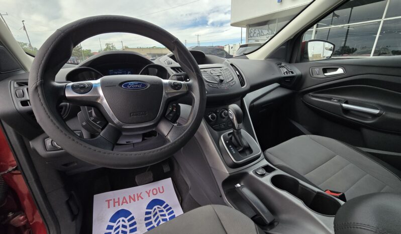 
2014 Ford Escape SE full									