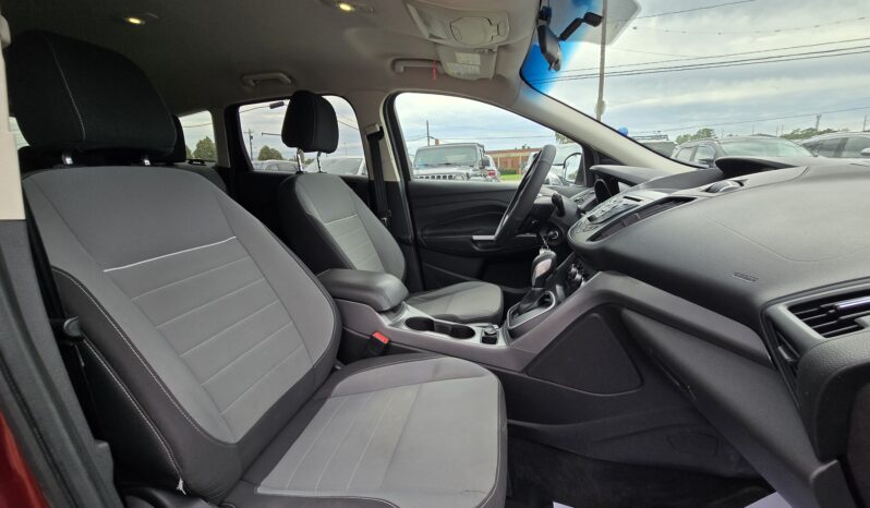 
2014 Ford Escape SE full									