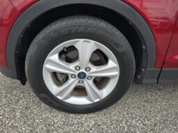 
2014 Ford Escape SE full									