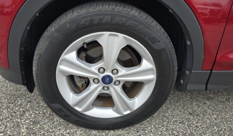 
2014 Ford Escape SE full									