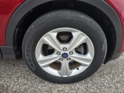 
2014 Ford Escape SE full									