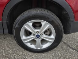 
2014 Ford Escape SE full									