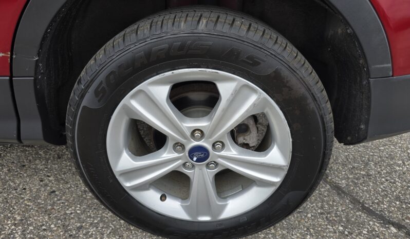 
2014 Ford Escape SE full									